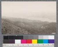 View from Mt. Vision over Bishop Pine & Laurel forest across Tomales Bay to the base hills beyond. W. Metcalf, Sept. 1921