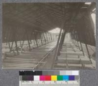 Sorting table and monorail system at Williams Cypress Company plant, Patterson, La. D.T. Mason 1919