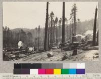 Landing #2, Pacific Lumber Company, Freshwater, California. Note yarder, Duplex loader, large number of lines. May 1921