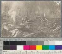 Willamette 12 x 14 engine. Steam Friction. 1. Working pressure 175 lbs. Average used 165 lbs. Drum holds 2,000j line which passes through fair leader. Donkey averages 75,000 board feet a day. 2. Loading engine shown in No. 94. 3. Lines 1 1/4" main line - Roebling or Williamsport; 5/8 back or tail line. As few Tommy Moore's as possible used since it takes time to change line at them. Spools on stumps used instead. These are harder on lines than Tommy Moore's. Hooktender gives signal to whistle boy by shouting. Two shouts is th [illegible] ball" or straight ahead, five shouts [illegible] etc. one shout stop. Hammond Lumber Company. Humboldt County. 5/19/15