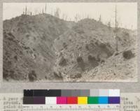 A year after yarding. Showing materials left on the ground. "Refuse" (small logs and chunks) pulled into the gulch during yarding. Shows also absence of any growth except sprouts from some redwood stumps (but not from all). Some standing small redwood trees show adventitious branching beginning. Albion Lumber Company, Camp 15, April, 1921. E.F