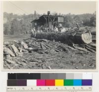 Redwood Region. Centralized bark peeling. Sage Land and Improvement Company, Willits, California. Peeling under the cold deck sky line at the mill. No peeling in the woods. See also 7245. 9-30-43. E. F. The bark is picked over and sold to a bark fiber plant at Santa Cruz