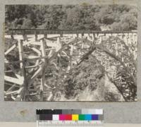 Bridge over Rock Creek. Redwood Highway after deck was removed; 3-hinged arch, redwood. Broken member indicated by darker timber added. See also #6368. 8-16-39. E.F