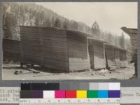 A well piled row of 1"x12"x16' common pine. Spanish Peak Lumber Company, Gray's Flat on Western Pacific Railroad, Plumas County, California. August, 1920. E.F