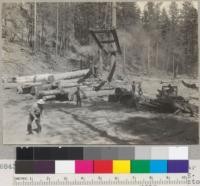 Peeling redwood at the landing. Caspar Lumber Company, Camp 20. General view of landing. Peelers at work peeling a log and tractors pushing away bark. 8/20/40. E.F