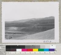 From near the Tehachapi Oak on Oak Creek Pass Road looking towads Monolith over heavily eroded lands. Sheep grazed with very little vegetation. Some gulleys still show. June 1953. Metcalf