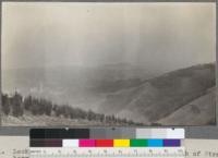 Looking north from the top of the ridge south of Strawberry Canyon from the University of California grounds towards San Francisco Bay. Cypress planting 5 years old in the foreground. Eucalyptus and coniferous planting on the north side of the watershed. November 1917. Metcalf