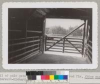 Detail of pole gate and stall sides made of red fir, Abies magnifica, in the Bercutt-Richards show barn, Sacramento