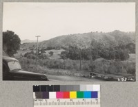 Panorama of hillside above Largo station, North-western Pacific, Mendocino County. Firewood was cut from this slope in the winter of '36-'37 and a fire ran through it in the late summer of '37. For comparison with pictures in later years. Nov. 1937. Metcalf