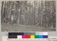 Butte Creek Plot #15. Site 60' at 50 years. Volume 114,400 B.M. [board measure] per acre. Age 148 years. Schumacher, 1925