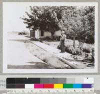 State Nurseryman Ray Doney with office building and garage at State Forest Nursery, Davis, in background