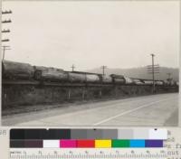 A nice lot of logs from Cummings Creek (Van Duzen River operations) of Hammond & Little River Redwood Company. These logs from a flat, felled March 1935 and logged out by tractors a few days later. Train on siding at Alton, California. March 1935. E.F