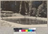 Swimming pool at Whitaker's forest showing drop of water by percolation during 24 hours after turning off the supply. It took about six days for the intake to fill the last six inches to overflow with a from the pipe of 30 gallons per minute. 1930