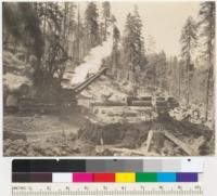 Redwood logging. Loader and train. Monument Creek, Scotia. See also 6444-5. August 1937. E.F