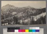 Highest summer grazing land. Lassen National Forest, north of Mineral, California. Carrying capacity light. T.30 N. R.4 E. Mt. Diablo Meridian Sec. ?. "Broke-off" Mountain at the left