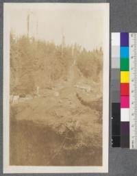 A dirt road. Grays River operation of the Portland Lumber Company. Log in foreground is going in. Steam from reader [roader?] can be seen at the top of the hill. The timber here was scattered and could not be reached with railroad so had 4 donkeys in string to haul to landing, about 2000 ft. Makes expensive logging