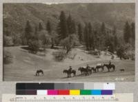 Forest Officers making a deer count on the California National Forest. March 7, 1928. H.E.M