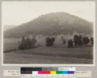 Mixed hardwoods on rolling hills near Winona, Minnesota. Trees give way to grass on dry Southwest point of ridge