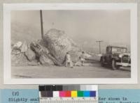 (F) Slightly smaller boulder close to boulder shown in E, head of New York Avenue. Weight 30 to 35 tons. Portions of check dam which lodged against this boulder. This boulder must have been moved at least 300 yards as judged from topography above