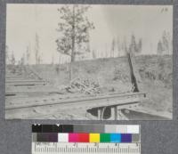 Type of bunk. Brooks Scanlon Lumber Company. Bend, Ore. 10. 4.3244
