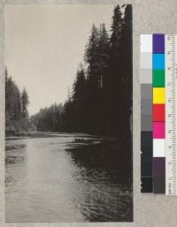 Looking up Eel River from the bar at the mouth of Bull Creek. Humboldt County. E.F. June 1931