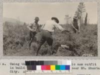 Using the Curry horizontal electric saw outfit in building a fire line in brush near Mt. Shasta City. August 1932. Metcalf