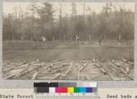 State Forest Nursery, Mont Alto, Pa. Seed beds are 4 x 25 ft. Those in the foreground are spring sown red pine mulched with straw until germination starts. The straw is usually held in place by heavy paper or burlap under the shade frames and stakes which are put in place when the mulch is removed. Men in the rear preparing beds which are sown to produce about 7000 2-0 white pines, or 5000 red, scotch or pitch pine. Small tree over the center man is Pinus pungens, others practically all shortleaf. Losses in European are so heavy from grubs and natural thinning they average only 2500