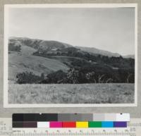 Redwood Region. Character of Monterey County coast hills and vegetation. This view from Coast Highway #1 toward Post Summit. Redwood in canyon bottoms. 11-7-44, E.F