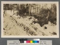 Skid trail over which the logs have been skidded out to the ice road, showing also the debris left and the condition of the woods after logging. This particular tract was being logged for the third time. First the pine was taken out on railroad, then the hemlock and at this time the hardwoods, using a portion of the old railroad grade for road. [Possibly taken in Michigan]