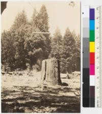 Redwood Region. Mendocino Lumber Company in 1936 started logging with tractors (contract) and trucks. Truck is shown at landing, 7 miles from woods. A log has just been unloaded and is to be swung across Big River on Sky line to deck shown at right. See #6070. 8-13-36. E.F