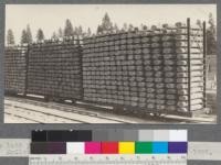 Pine lath piled on kiln cars ready for kiln drying. McCloud River Lumber Company, McCloud, California. June, 1920. E.F