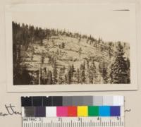 Scottish Seed Tree System. Davies Box & Lumber Company, Tahoe National Forest