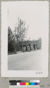 Pinus attenuata, knobcone pines, and group of Xi Sigma Pi students on ridge above Big Basin, Santa Cruz County. March 1952. Metcalf