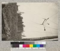 Spreader loading at head-tree of sky line road, showing use of opposed guy-lines when railroad is behind pole. Northern Redwood Company, 1923