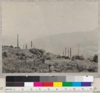 One of a series of 17 views (#5546-5563) in panorama (entire 360 degrees) of surrounding logged-off area, from stump 1045 on University of California experimental area of 1928-1930 in NW 1/4 NE 1/4 Sec. 1 T2S R2E. Photo at noon in bright sun. 7-7-32. E.F