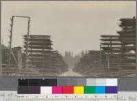 Method of stacking stickers on racks. Yards of Little River Redwood Company, Bulwinkle, California. May, 1920. E. F