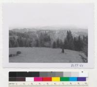 View from the Matheson Fire Lookout along the top of the ridge between Big River and Albion River. Country in the background is part of Comptche burn of 1931. Metcalf. April 1953