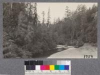 View down the Gualala River from highway bridge between Surprise Camp and Annapolis, Sonoma County. August, 1921