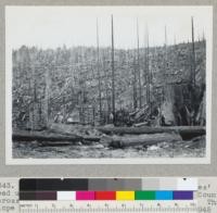 Redwood Region. View north from employees' road up Maple Creek from Big Lagoon, Humboldt County, across Maple Creek to "D" line (logging railroad). This slope was in the process of logging when fire of 1945 occurred and disrupted procedure. "D" railroad line shows as a horizontal streak. Hammond Lumber Company. See also #7344. 2-22-46, E.F