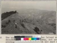 The upper ridge of Santa Cruz Island are denuded by overgrazing of sheep, and are eroding badly. Looking south and east from slopes of Diablo Mountain. W. Metcalf - June 1931