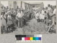 Exercises at the Upper Lake school, Lake County, May 15th, 1929, when the 4-H Club members planted a seedling from the Hooker Oak on the grounds. Metcalf