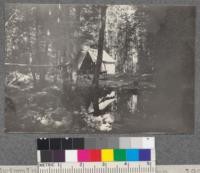 Swimming pool, Califorest Camp. 1920