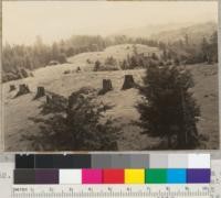 Redwood Region. View looking east from observation platform of Mathison Peak, (State fire lookout station). View is along but above Comptche Road, in Sec. 5 and 6, T 16 N, R 16 W. Mendocino County, California. This ridge rounded and originally timbererd, logged in early days, then cleared. Now used for cow pasture. Over first brow, and to left is a vetch-and-oats field. Valley beyond grassy knolls is in headwaters of Albion Creek in Sec. 4, T 16 N, T 16 W. See also next number (7053). 6-16-42. E. F