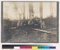 Michigan Agricultural College, Department of Forestry. View taken during the 6 weeks of the summer term, 1910. Two student squads of three men each doing their calculation after having taken their measurements on holdings on the Salling & Hanson Company. Eight miles due north of summer camp