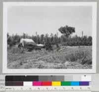 Some of the heavy tree-digging equipment and part of transplant area in background, State Forest Nursery, Davis. May, 1942