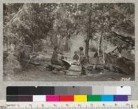 The Baker family at Whitaker Forest Camp site eating from a Big Tree table, July 1926