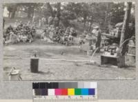 The fire protection demonstration at Asolimar was held under ideal conditions in the Monterey Pine Forest. Metcalf. May, 1928