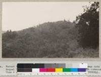 Forest types in Santa Cruz County. From Santa Cruz highway into head of Soquel Creek. Woodland type tending toward second-growth redwood. Time 2 sec. F 16. May 1930. T. M. Tyrrell