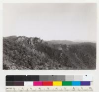 Redwood Region. Typical rocky outcrops on east rim and brushy slopes in east end of Big River basin, Mendocino County, California. In about Sec. 11, T17N, R14W. 6-20-42, E.F