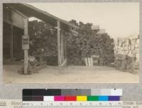 Giant Sequoia (S. gigantea) shake bolts made from down timber in Giant Forest by National Park Rangers at Sequoia National Park headquarters. Jan. 1926. E.F